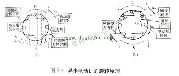 210732tmkd2lkg7kkfm8kn.jpg