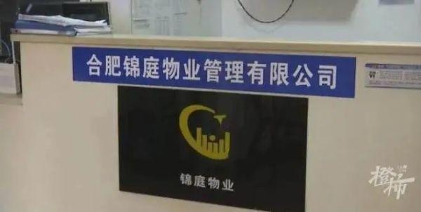 b3119313b07eca802c72992189abe6d4a0448316.jpeg