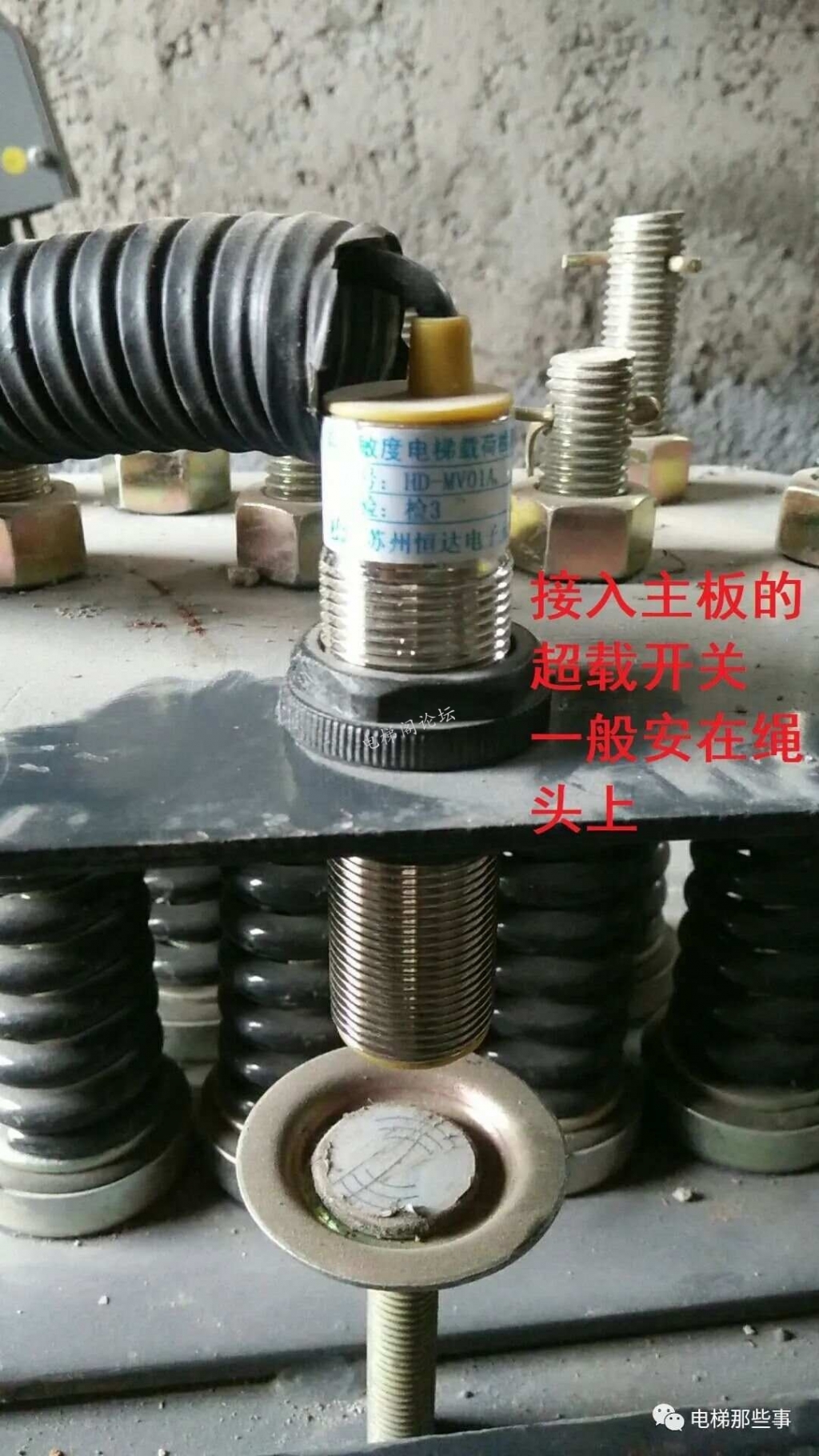270896620_3_20230817021746913.jpeg.jpg